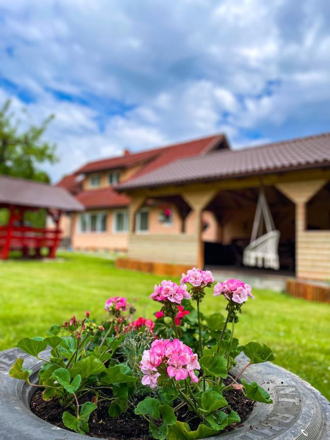 Vila Lilica บราน ภายนอก รูปภาพ